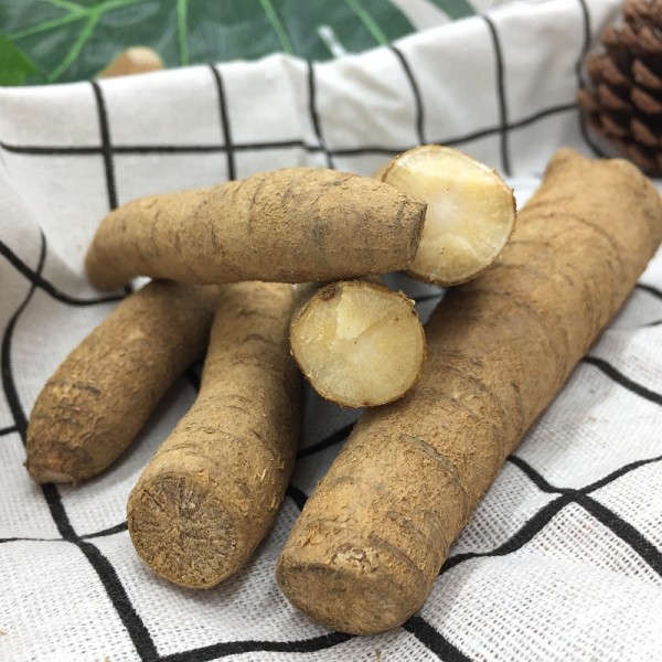 十万山牛大力