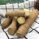 十万山牛大力