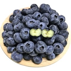 欧家夼蓝莓