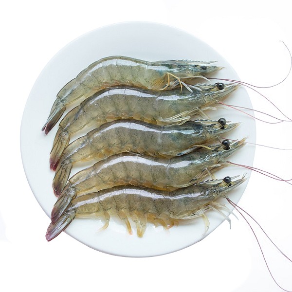 南湾湖虾