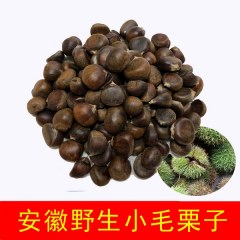 新鲜野生小毛栗子500g