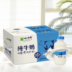 小西牛纯牛奶整箱243mlx12