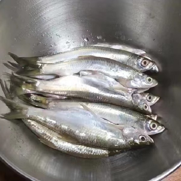洈水刁子鱼详细介绍:特点 历史 - 湖北松滋特产 - 特色谷