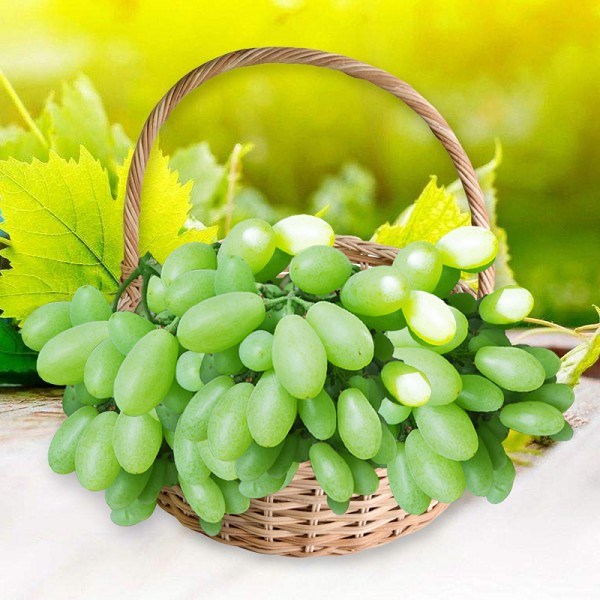 永乐葡萄