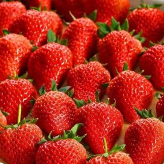 德昌草莓