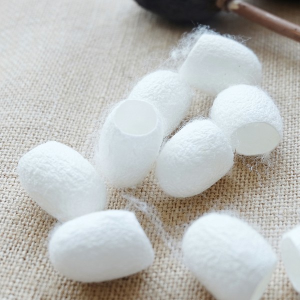吴堡桑蚕茧