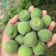 环江青梅