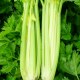 崇信芹菜