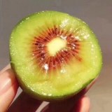 寻乌猕猴桃