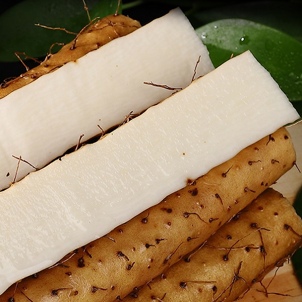 高州淮山薯