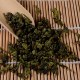 新岗挂绿茶