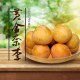 炎陵柰李