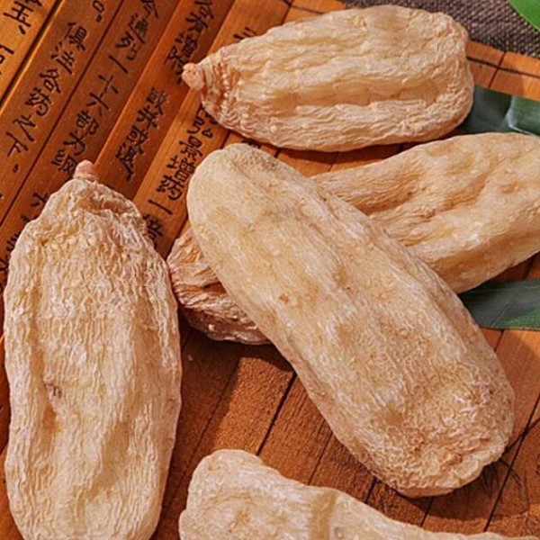 南川天麻