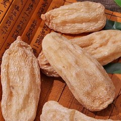 南川天麻