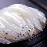 潍河银鱼