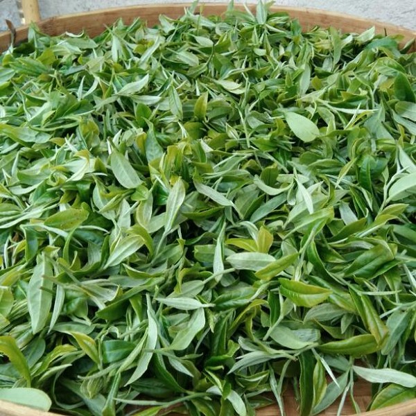 信宜合箩茶