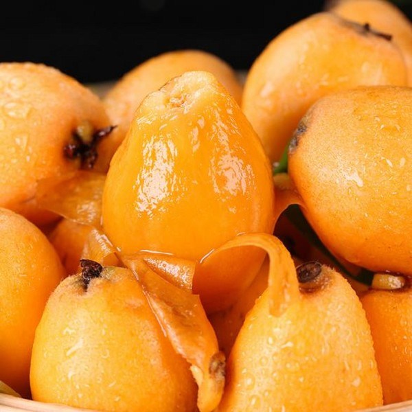 阳新枇杷