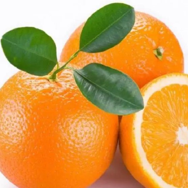 台湾柳橙
