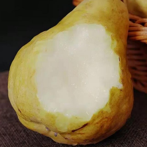 中华丑梨详细介绍：特点 - 山东烟台特产 - 特色谷