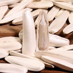 马牙瓜子品牌榜