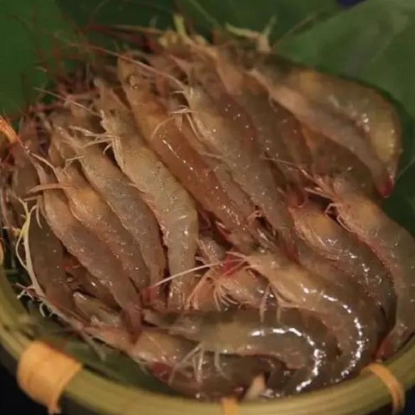 黄阁小虎麻虾