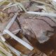 白家牛肉罩饼