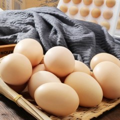 日喀则藏鸡蛋