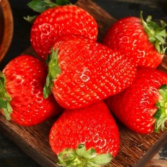永靖草莓