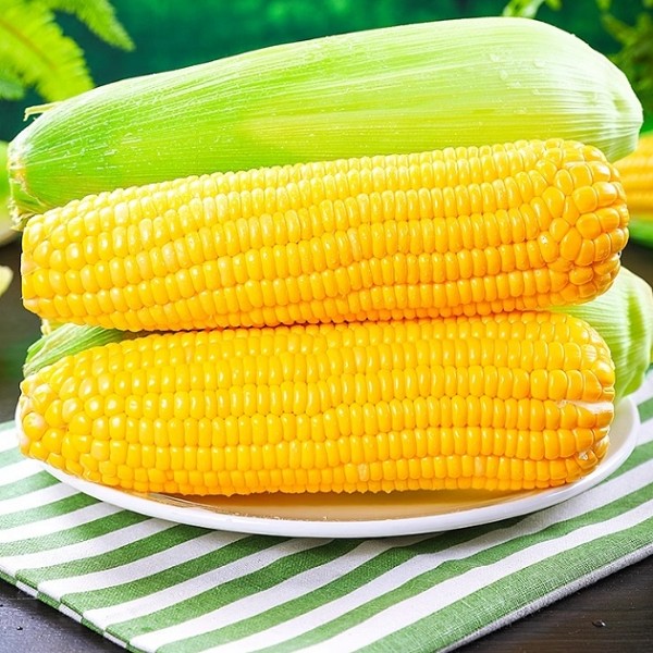 杜山甜玉米
