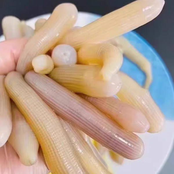 陵水沙虫