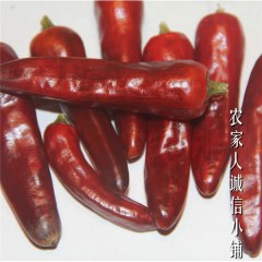 重庆特产石柱红干辣椒3号超辣特辣