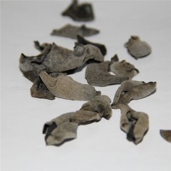 安徽大别山特产 岳西椴木木耳 250g